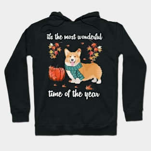 Corgi Dog Autumn Fall Most Wonderful Time Maple Gift Hoodie